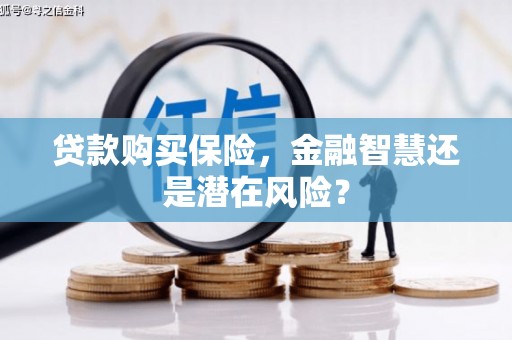 增城贷款购买保险，金融智慧还是潜在风险？