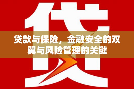 增城贷款与保险，金融安全的双翼与风险管理的关键
