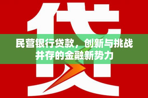 增城民营银行贷款，创新与挑战并存的金融新势力