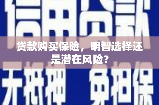 增城贷款购买保险，明智选择还是潜在风险？