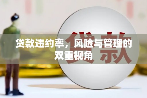 增城贷款违约率，风险与管理的双重视角