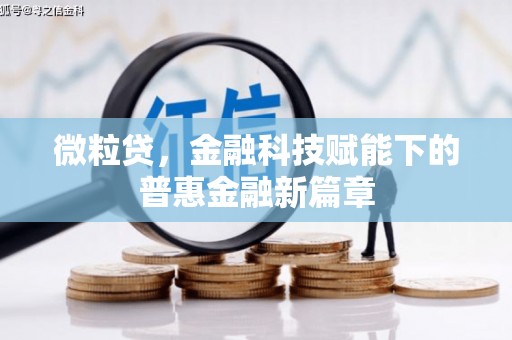 增城微粒贷，金融科技赋能下的普惠金融新篇章