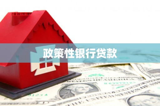 增城政策性银行贷款