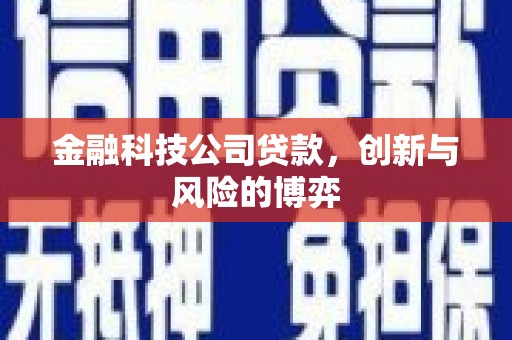 增城金融科技公司贷款，创新与风险的博弈
