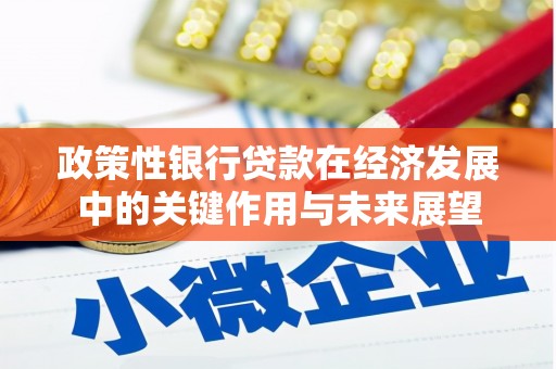增城政策性银行贷款在经济发展中的关键作用与未来展望