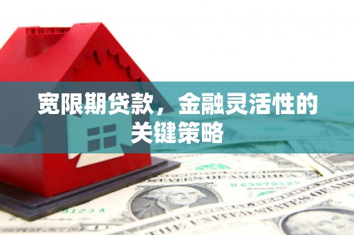 增城宽限期贷款，金融灵活性的关键策略