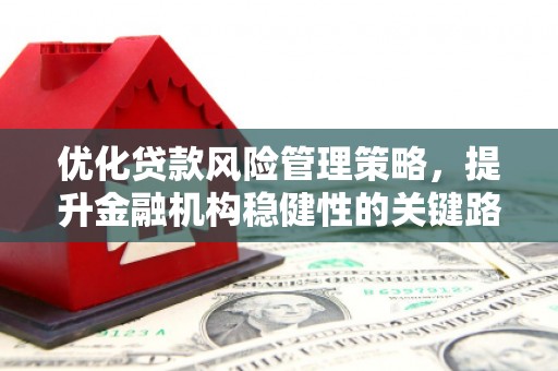 增城优化贷款风险管理策略，提升金融机构稳健性的关键路径