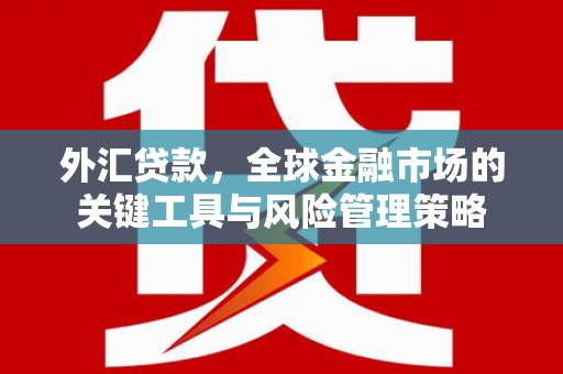 增城外汇贷款，全球金融市场的关键工具与风险管理策略