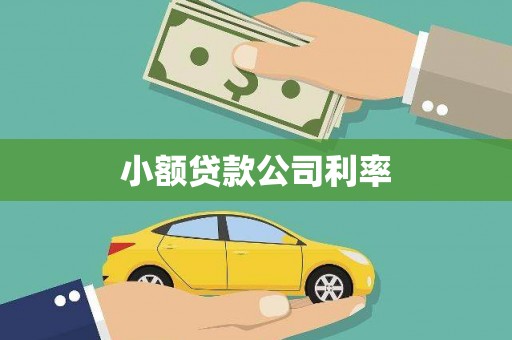 增城小额贷款公司利率