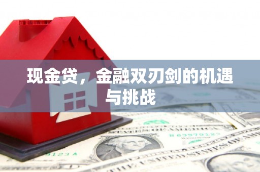 增城现金贷，金融双刃剑的机遇与挑战