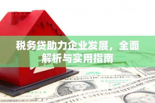 增城税务贷助力企业发展，全面解析与实用指南