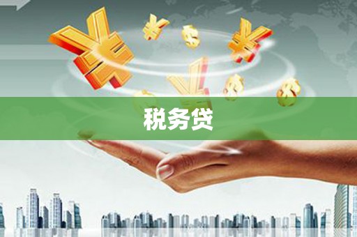 增城税务贷