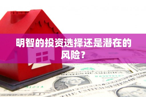 增城明智的投资选择还是潜在的风险？