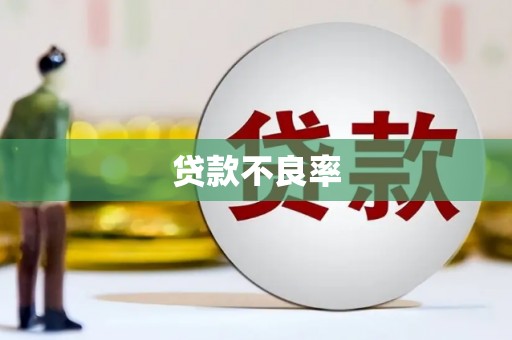 增城贷款不良率