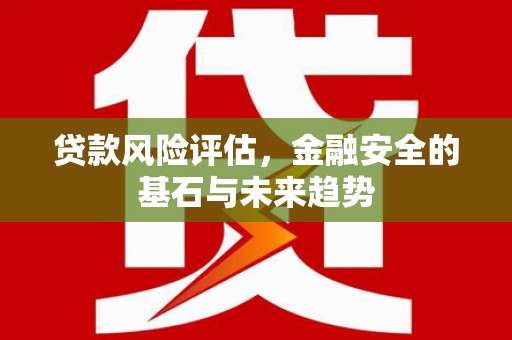 增城贷款风险评估，金融安全的基石与未来趋势