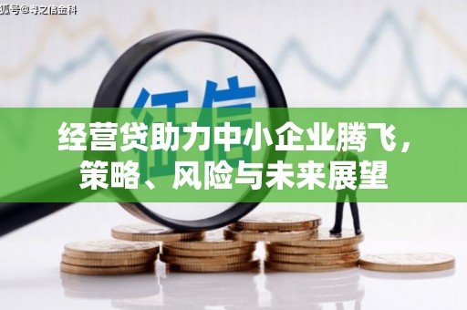 增城经营贷助力中小企业腾飞，策略、风险与未来展望