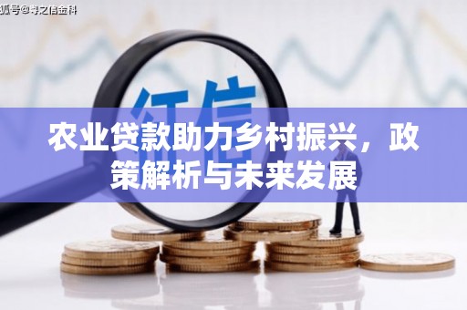增城农业贷款助力乡村振兴，政策解析与未来发展