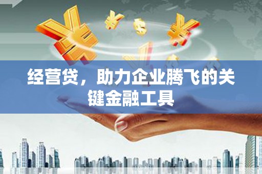 增城经营贷，助力企业腾飞的关键金融工具