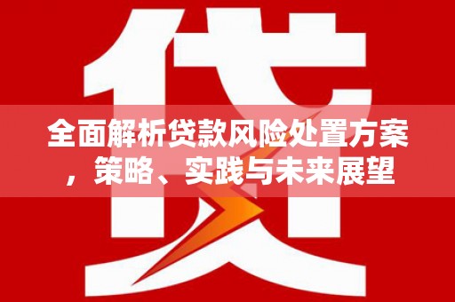 增城全面解析贷款风险处置方案，策略、实践与未来展望