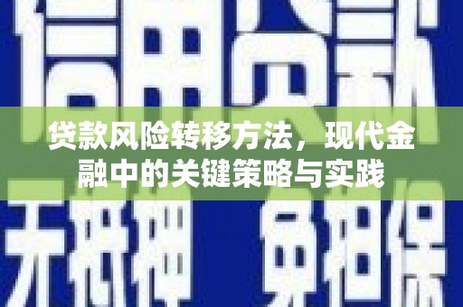 增城贷款风险转移方法，现代金融中的关键策略与实践
