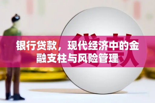 增城银行贷款，现代经济中的金融支柱与风险管理