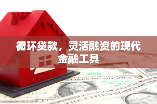 增城循环贷款，灵活融资的现代金融工具