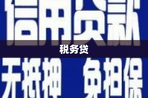 增城税务贷