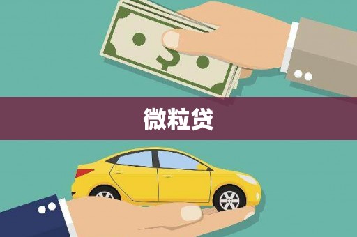 增城微粒贷