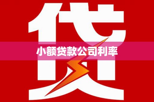 增城小额贷款公司利率