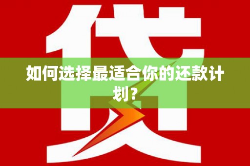 增城如何选择最适合你的还款计划？