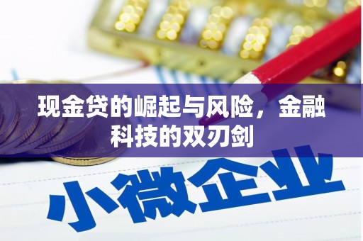 增城现金贷的崛起与风险，金融科技的双刃剑
