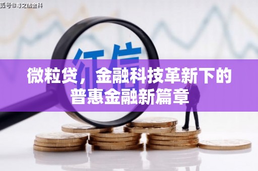 增城微粒贷，金融科技革新下的普惠金融新篇章
