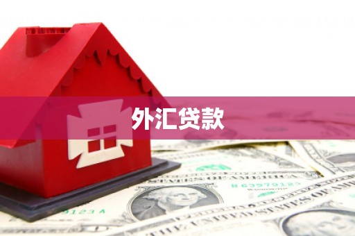 增城外汇贷款