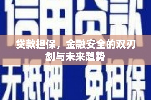 增城贷款担保，金融安全的双刃剑与未来趋势