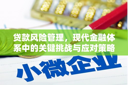 增城贷款风险管理，现代金融体系中的关键挑战与应对策略