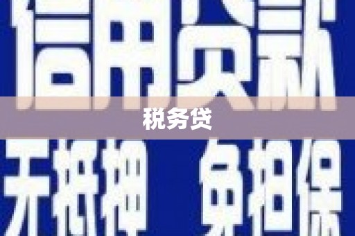 增城税务贷