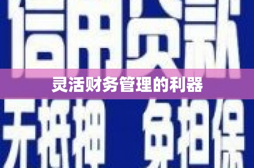 增城灵活财务管理的利器