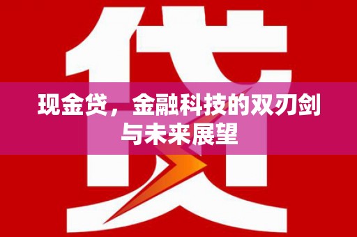 增城现金贷，金融科技的双刃剑与未来展望