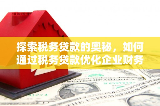 增城探索税务贷款的奥秘，如何通过税务贷款优化企业财务