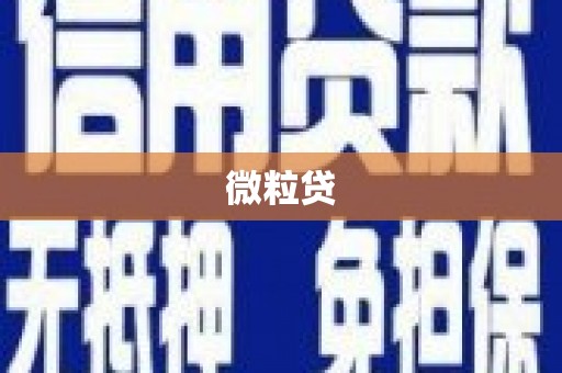 增城微粒贷
