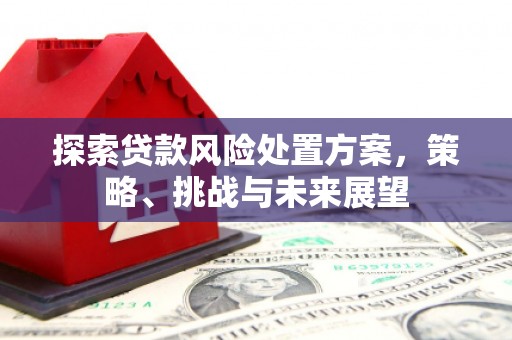 增城探索贷款风险处置方案，策略、挑战与未来展望