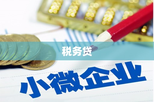 增城税务贷