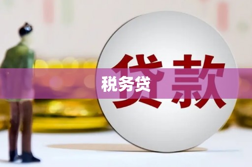 增城税务贷