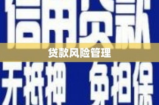 增城贷款风险管理