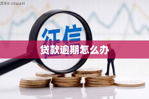 增城贷款逾期怎么办