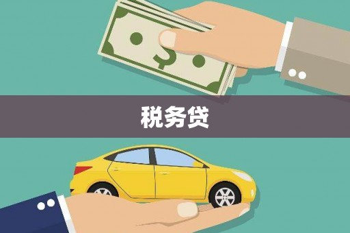 增城税务贷