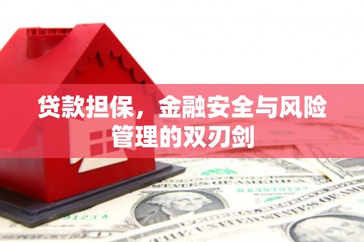 增城贷款担保，金融安全与风险管理的双刃剑