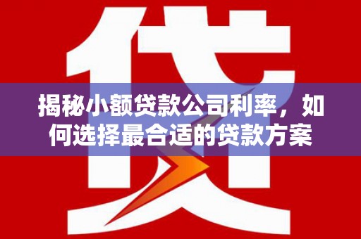 增城揭秘小额贷款公司利率，如何选择最合适的贷款方案