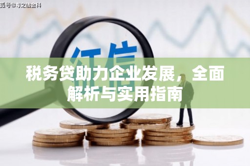 增城税务贷助力企业发展，全面解析与实用指南