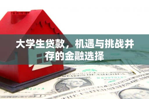 增城大学生贷款，机遇与挑战并存的金融选择